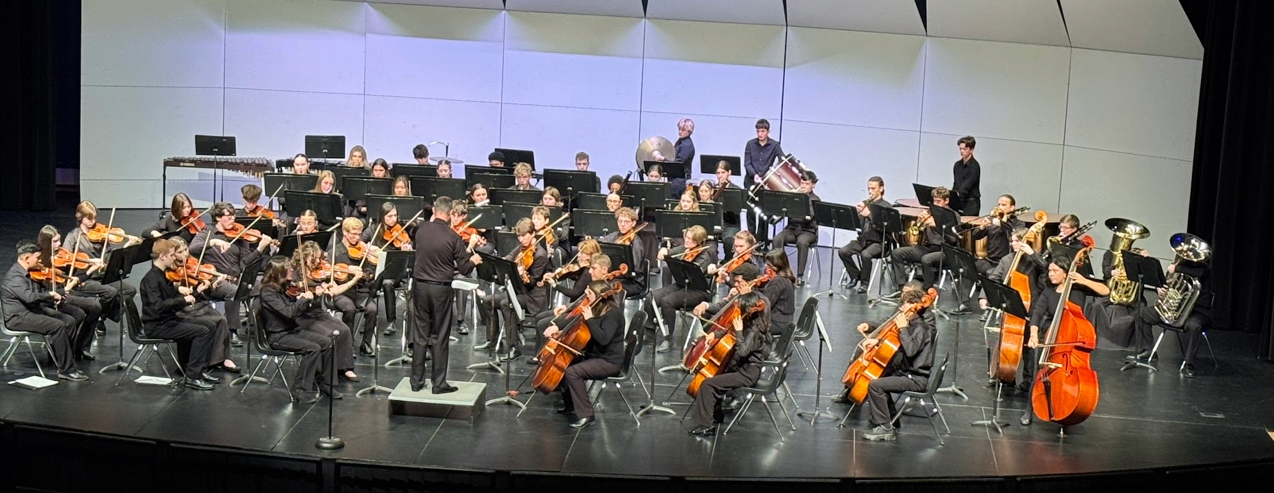 Northland Symphony Youth Ensemble Tuition